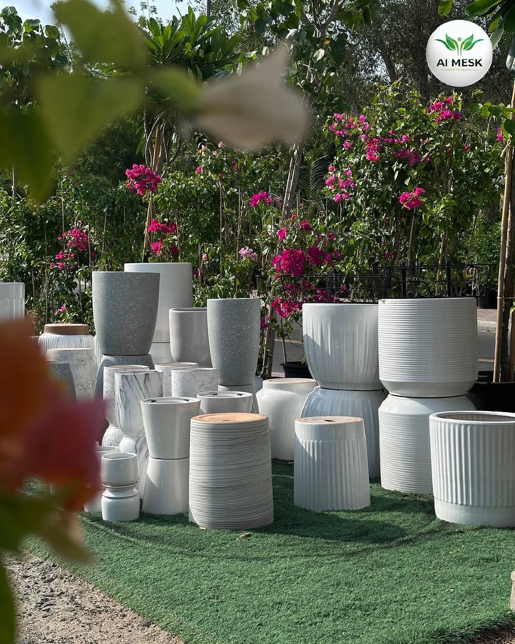 Social Media Management